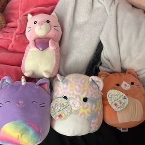 3 NWT Cat squishmallows and bonus Hugme squishmallow included!